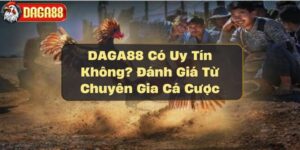 daga88-co-uy-tin-khong-danh-gia-tu-chuyen-gia-ca-cuoc