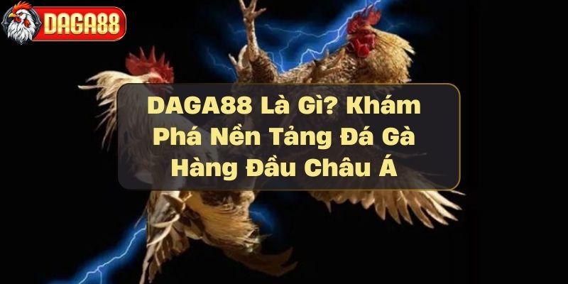 daga88-la-gi-kham-pha-nen-tang-da-ga-hang-dau-chau-a