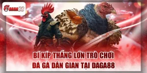 Bí Kíp Thắng Lớn Trò Chơi Đá Gà Dân Gian Daga88 Năm 2026