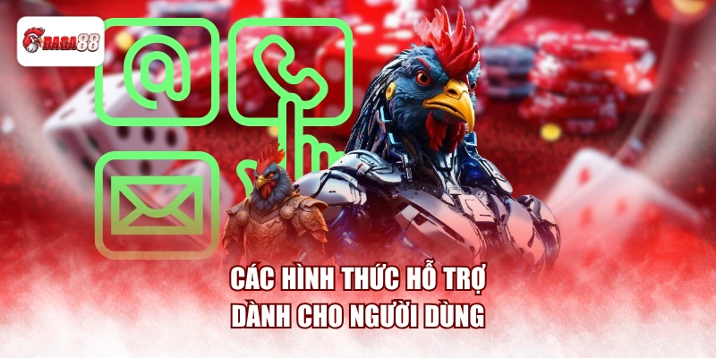 Các hình thức hỗ trợ dành cho người dùng
