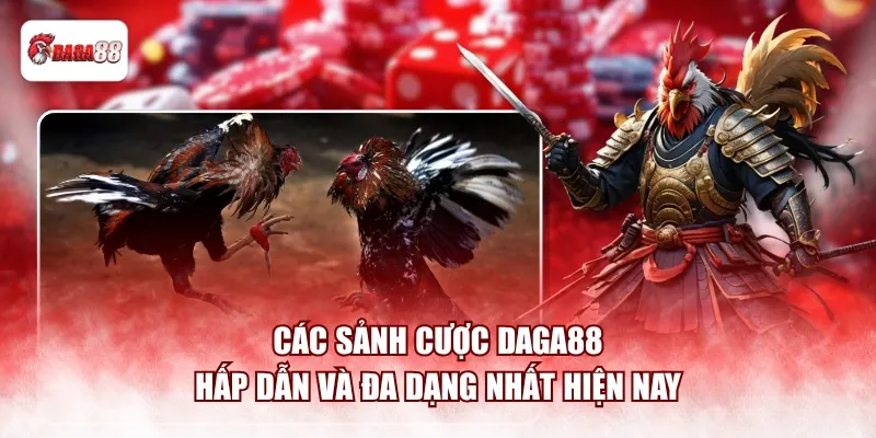 Các sảnh cược daga88 hấp dẫn và đa dạng nhất hiện nay