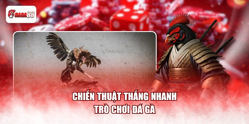 Chiến thuật thắng nhanh trò chơi đá gà 