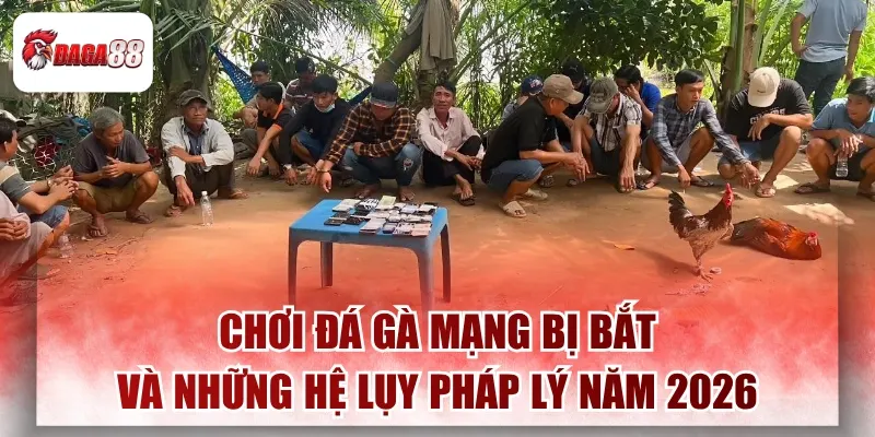 Chơi Đá Gà Mạng Daga88 Bị Bắt Và Những Hệ Lụy Pháp Lý Hiện Nay