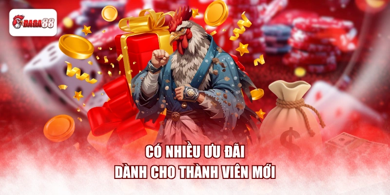 Có nhiều ưu đãi dành cho thành viên mới