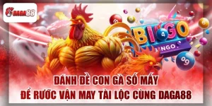 Đánh Đề Daga88 Con Gà Số Mấy Để Rước Vận May Tài Lộc 2026