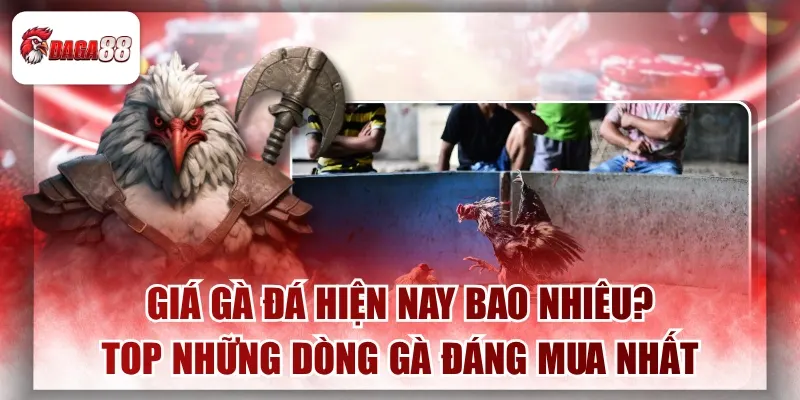 Giá Gà Đá Daga88 Hiện Nay Bao Nhiêu?Top Những Dòng Gà Đáng Mua Nhất