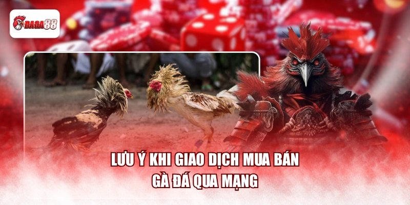 Lưu ý khi giao dịch mua bán gà đá qua mạng