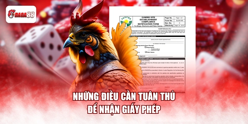 Những điều cần tuân thủ để nhận giấy phép
