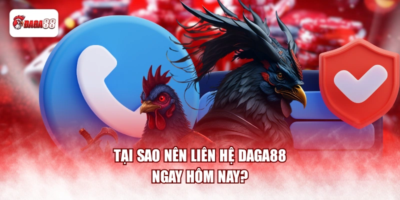 Tại sao nên liên hệ daga88 ngay hôm nay?