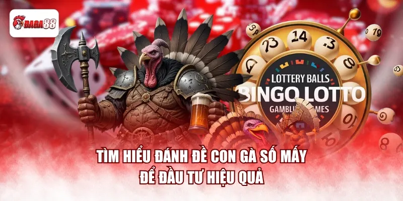 Tìm hiểu đánh đề daga88 con gà số mấy để đầu tư hiệu quả
