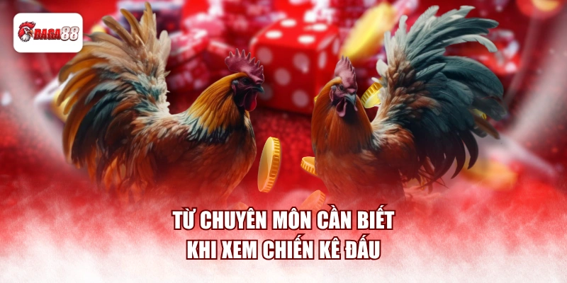 Từ chuyên môn cần biết khi xem chiến kê đấu
