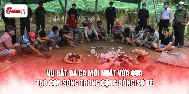 Vụ bắt đá gà mới nhất daga88 vừa qua tạo cơn sóng trong cộng đồng sư kê